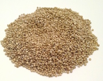 Quinoa bílá 500g Quinoa bílá 500g