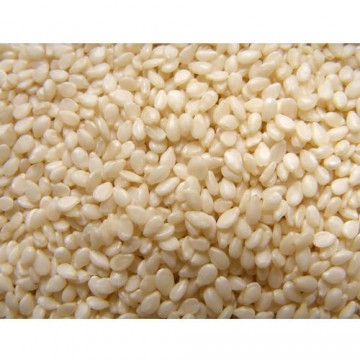 Bílý sezam 500g Bílý sezam 500g